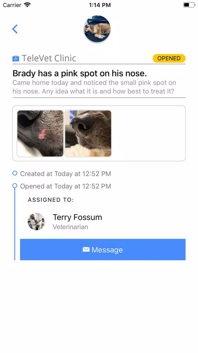 Zrzuty ekranu TeleVet - Your Virtual Vet