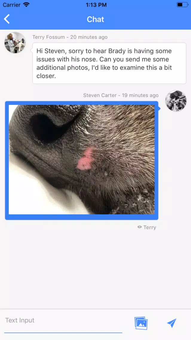 Zrzuty ekranu TeleVet - Your Virtual Vet