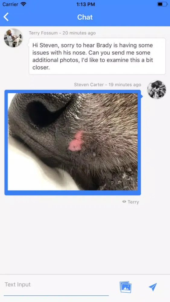 Screenshot di TeleVet - Your Virtual Vet