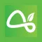 Turnleaf