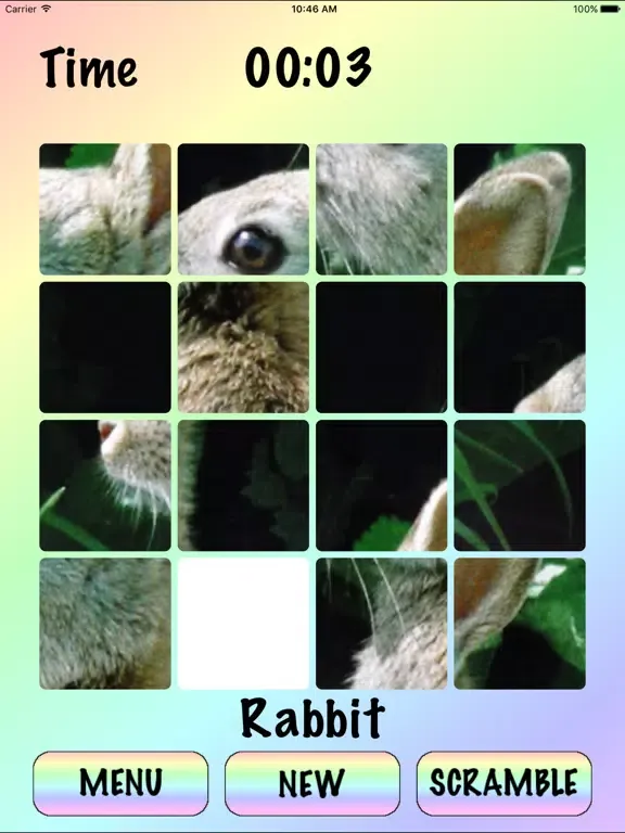 4x4 - Sliding Square Puzzle iPad  スクリーンショット