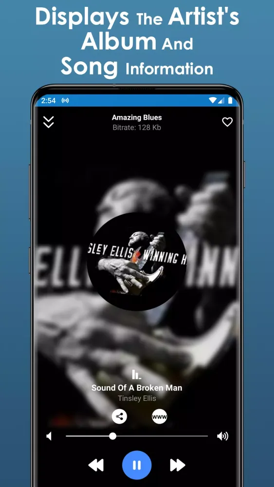 Capturas de pantalla de Blues Music App