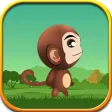 Temple Monkey Escape Temple Monkey Escape