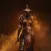 Animus - Harbinger Unpacked