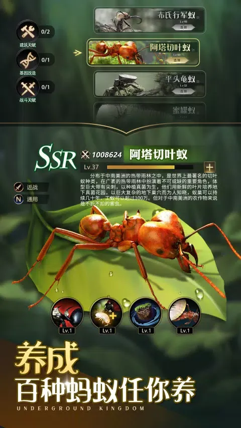 小小蚁国 스크린샷