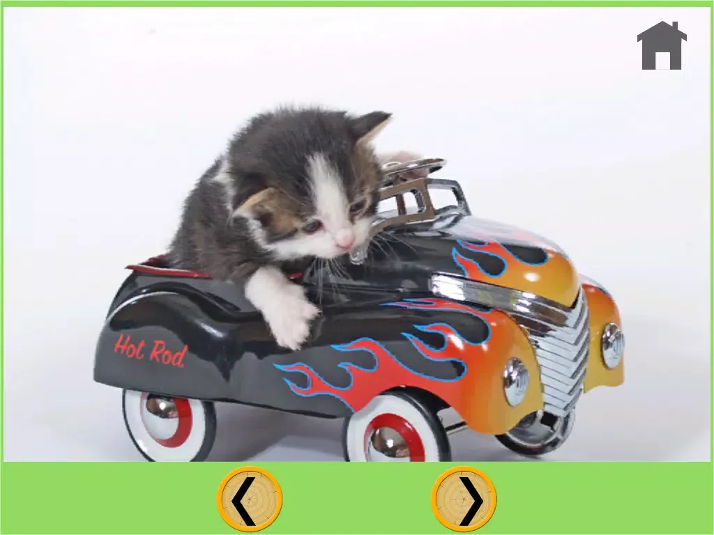 Tangkapan layar cats bowling for children - free game iPad 