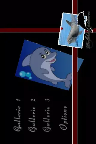 Tangkapan layar Dolphin wonderful