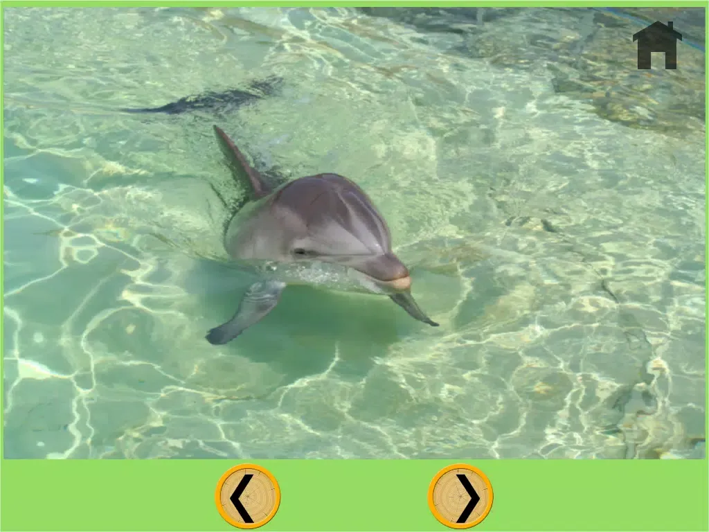 Capturas de tela do Dolphin bowling for children - free game iPad 