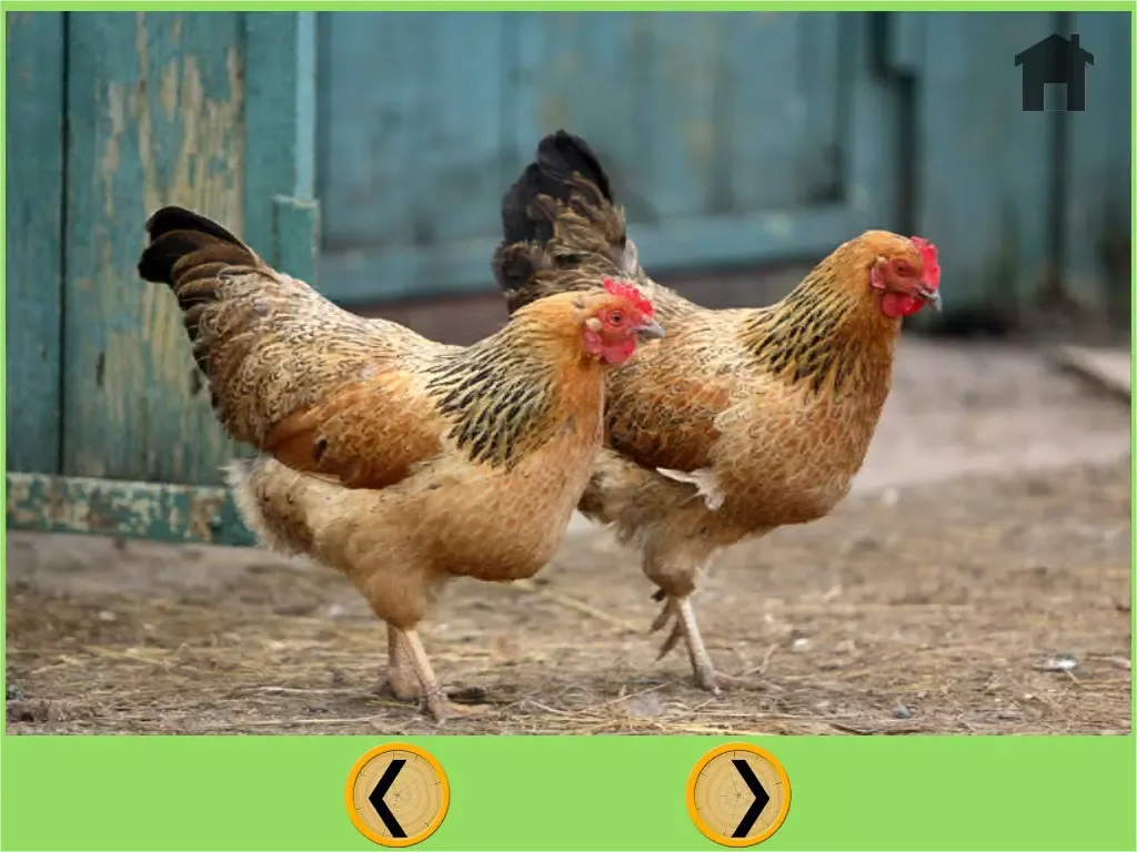 تصاویر Farm animals and bowling for children - free game iPad 