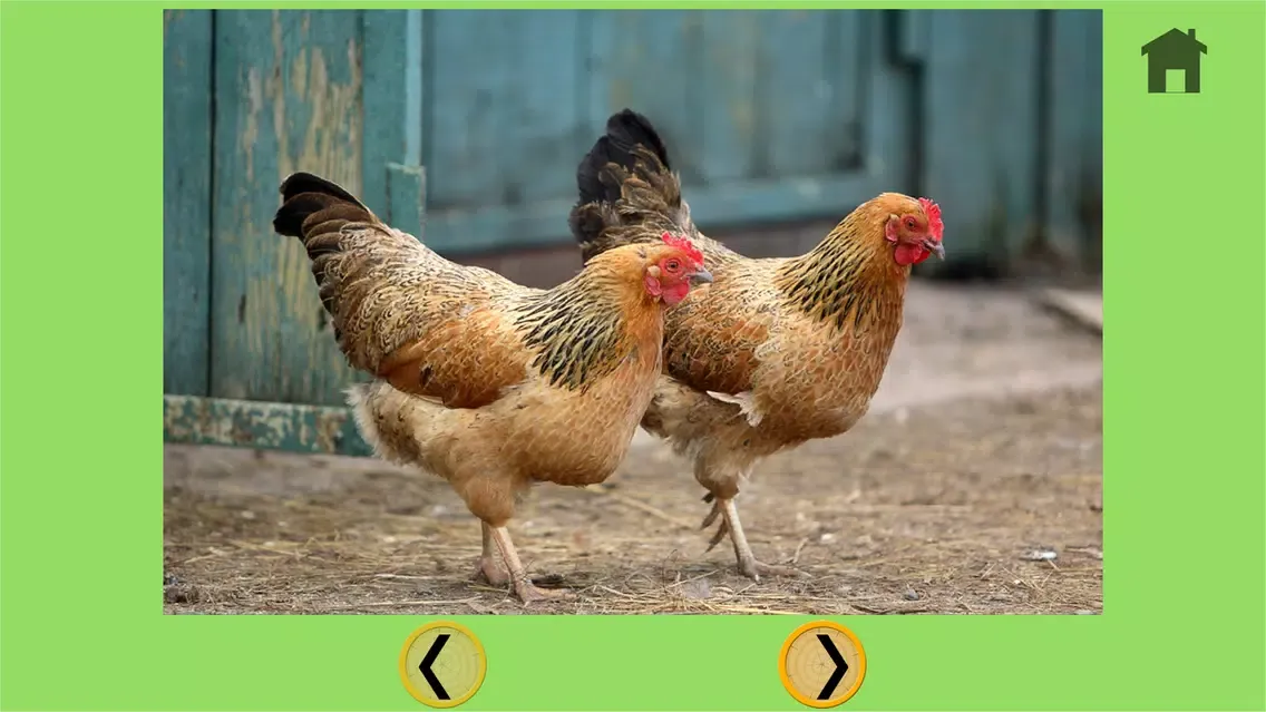 تصاویر Farm animals and bowling for children - free game