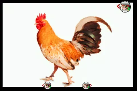 Capturas de tela do Farm animals collection