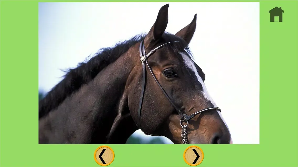 Horse bowling for kids - free game应用截图