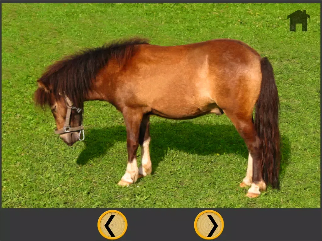 ponies and bowling for children - free game iPad  Screenshots