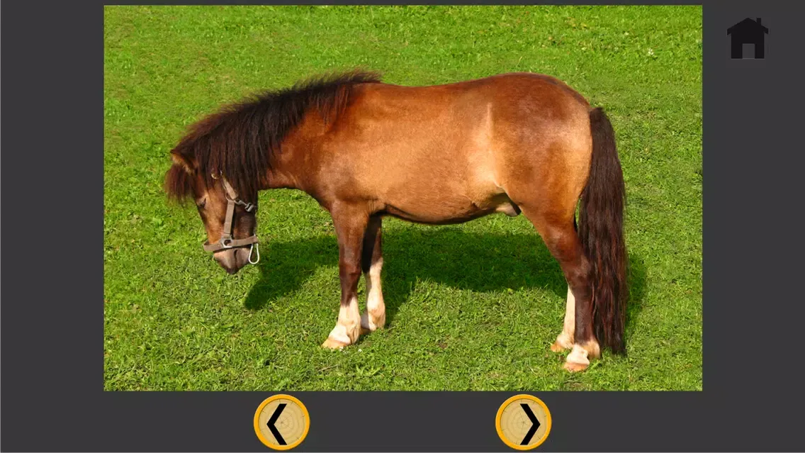 ponies and bowling for children - free game Screenshots