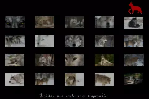 Capturas de pantalla de wolf wonderful