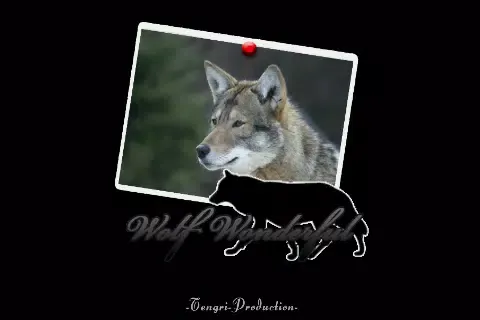 Capturas de pantalla de wolf wonderful