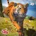 Wild Tiger Adventure 3D - Siberian Jungle Beast Animals Hunting Attack Simulator