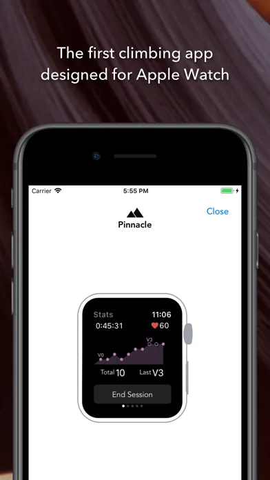 Pinnacle Climb Log Screenshots