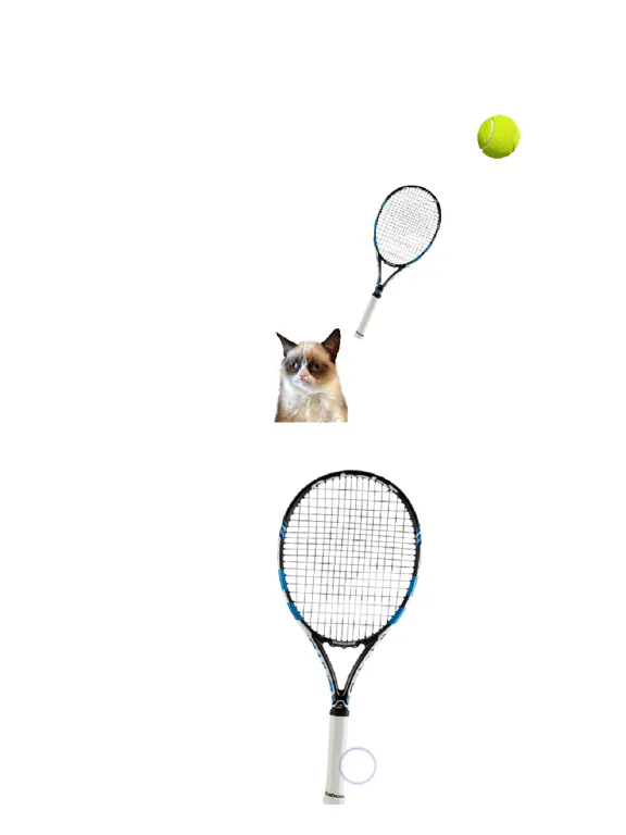 Ảnh chụp màn hình của Cat Playing Tennis iPad 