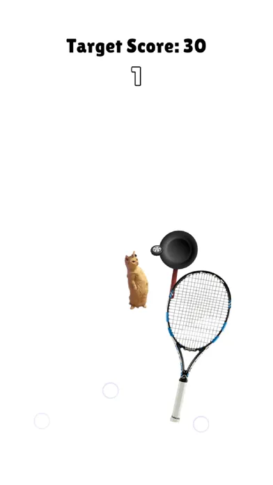 Ảnh chụp màn hình của Cat Playing Tennis