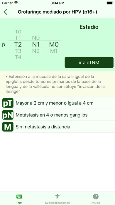 Скриншоты ORL TNM 2019