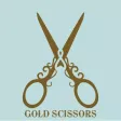 HAIR WORKS GOLD SCISSORS