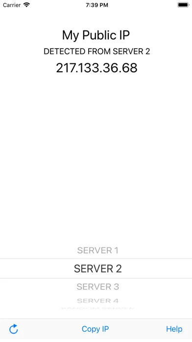 Tangkapan skrin My Public IP
