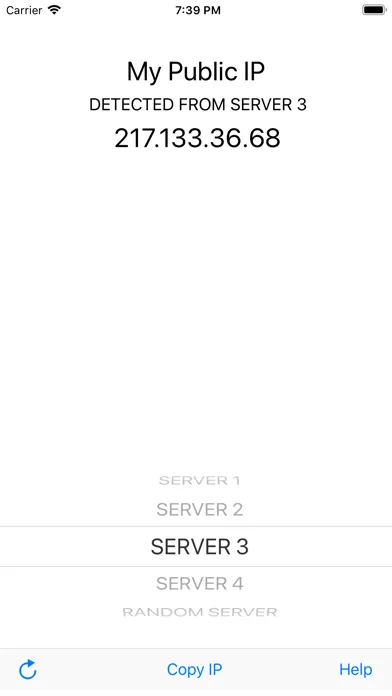 Tangkapan skrin My Public IP