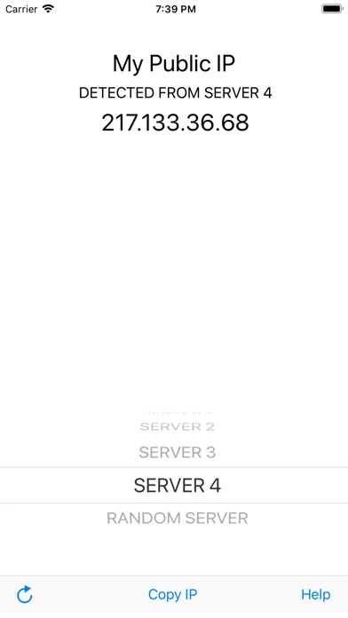 Tangkapan skrin My Public IP