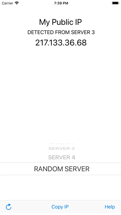 Tangkapan skrin My Public IP