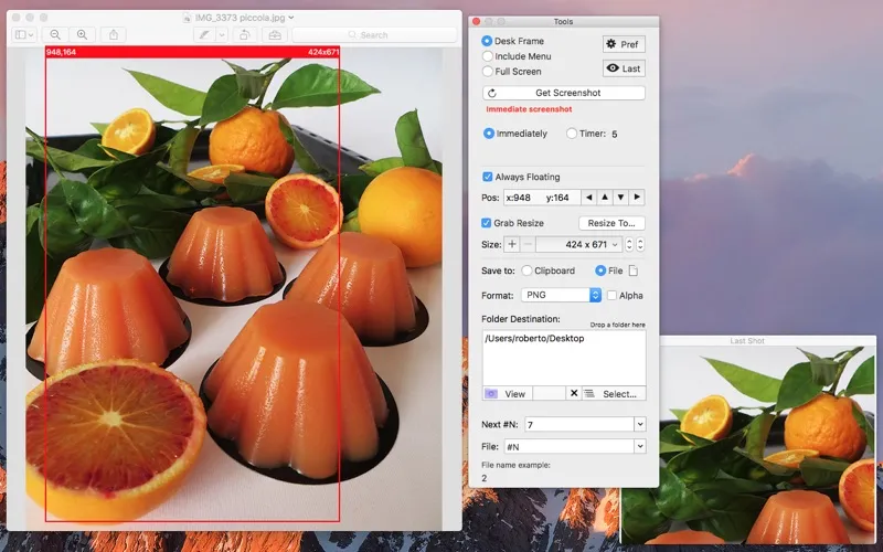 ภาพหน้าจอของ Precise Screenshot