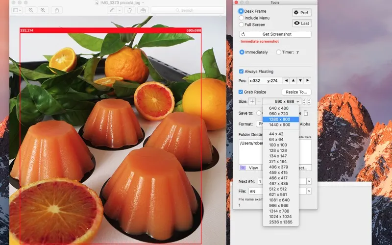 ภาพหน้าจอของ Precise Screenshot