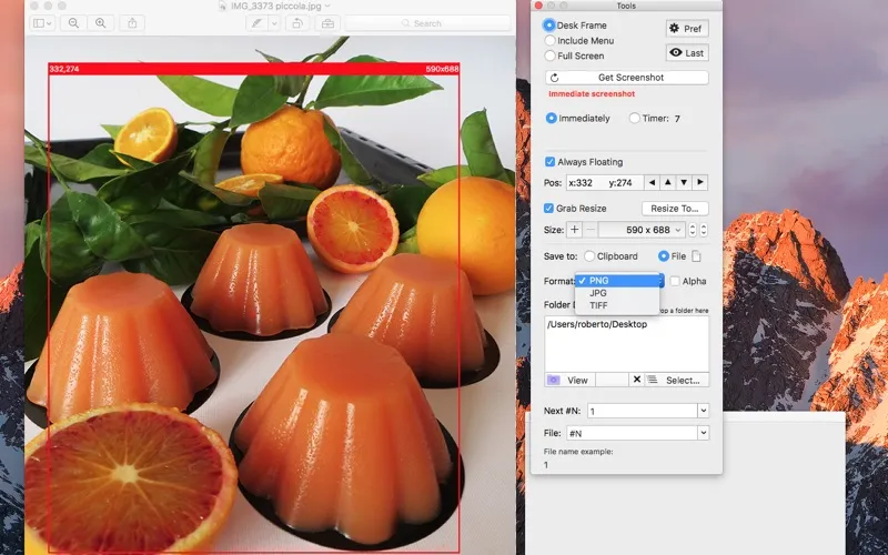 ภาพหน้าจอของ Precise Screenshot