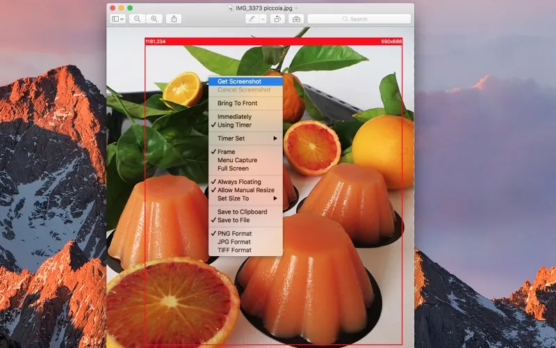 ภาพหน้าจอของ Precise Screenshot