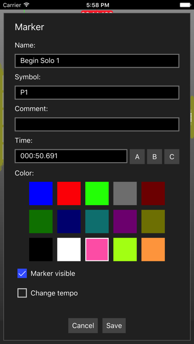 Music Speed Changer Pro 2应用截图