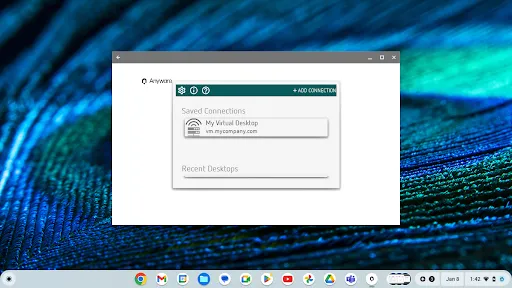 Zrzuty ekranu HP Anyware PCoIP Client