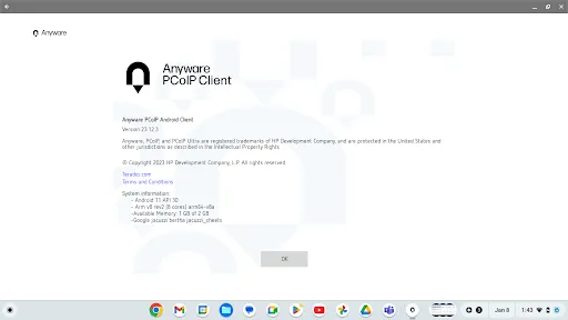 Zrzuty ekranu HP Anyware PCoIP Client