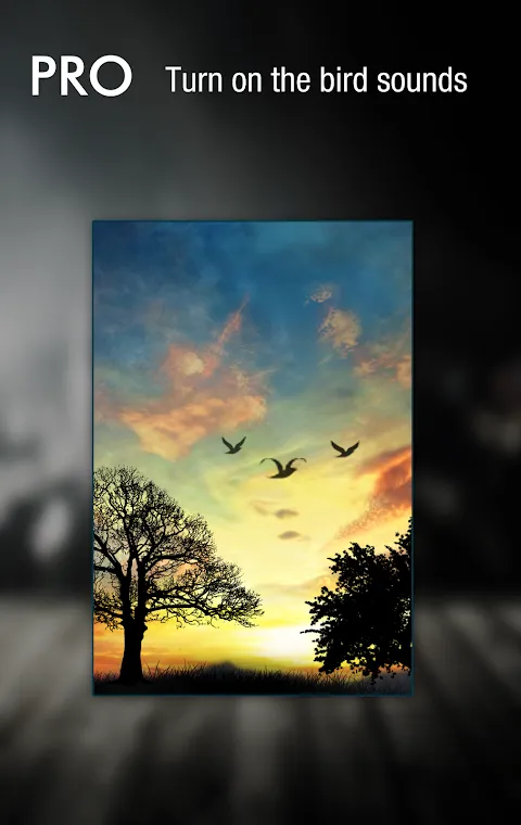 Sunset Hill Live Wallpaper - Free Screenshots