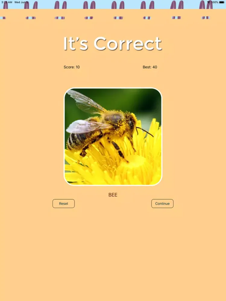 W-O-R-D-S ! ! ! iPad  Ekran Görüntüleri