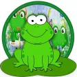 Frog Insect Cage Frog Insect Cage