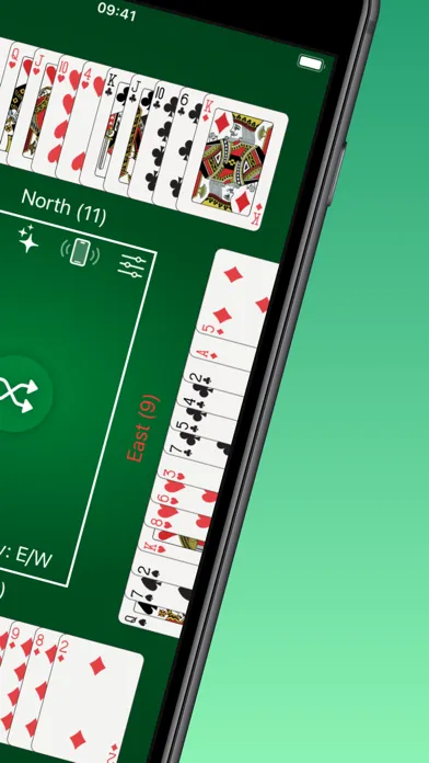 Bridge Dealer Ekran Görüntüleri