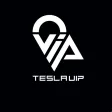 Tesla VIP Driver