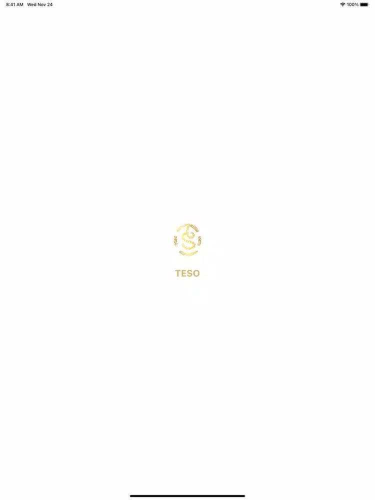 Teso App iPad 应用截图