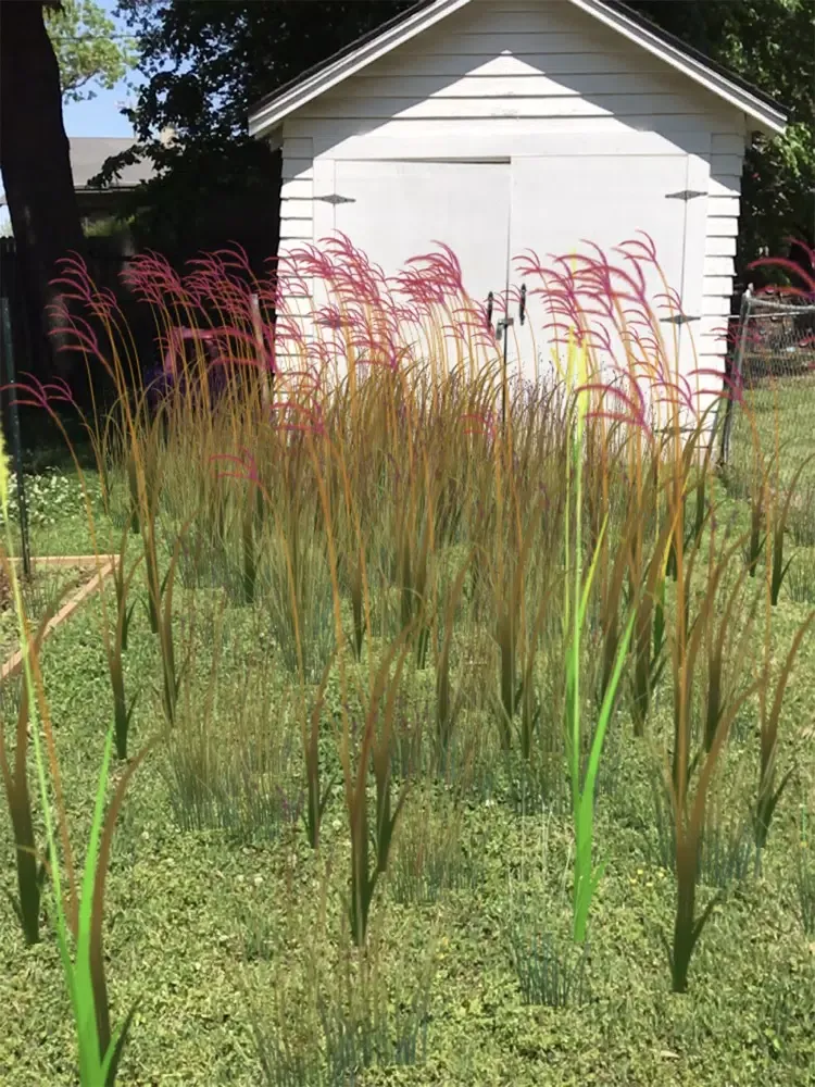 Grass Flower Weed: Bluestem iPad  स्क्रीनशॉट