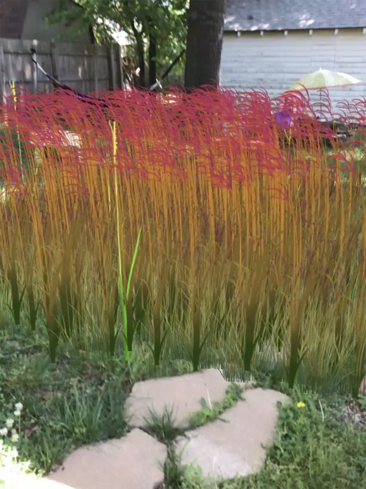 Grass Flower Weed: Bluestem iPad  स्क्रीनशॉट