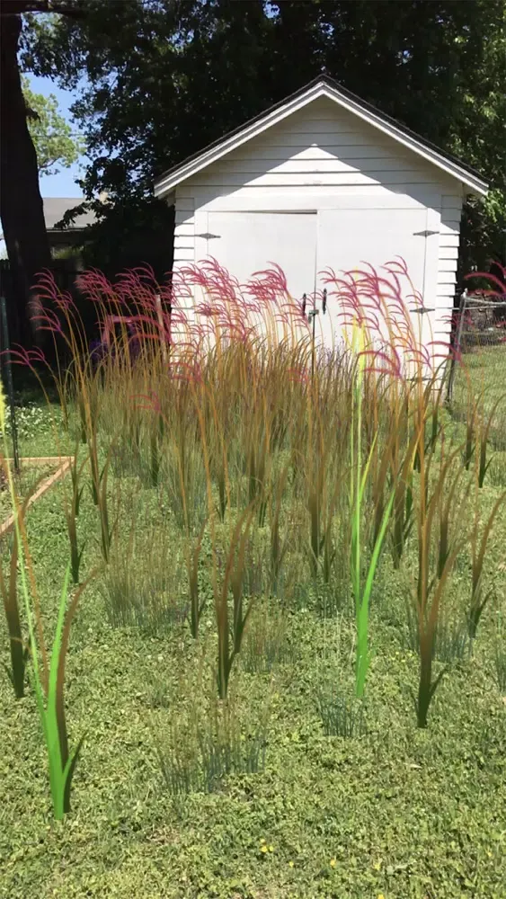 Grass Flower Weed: Bluestem स्क्रीनशॉट