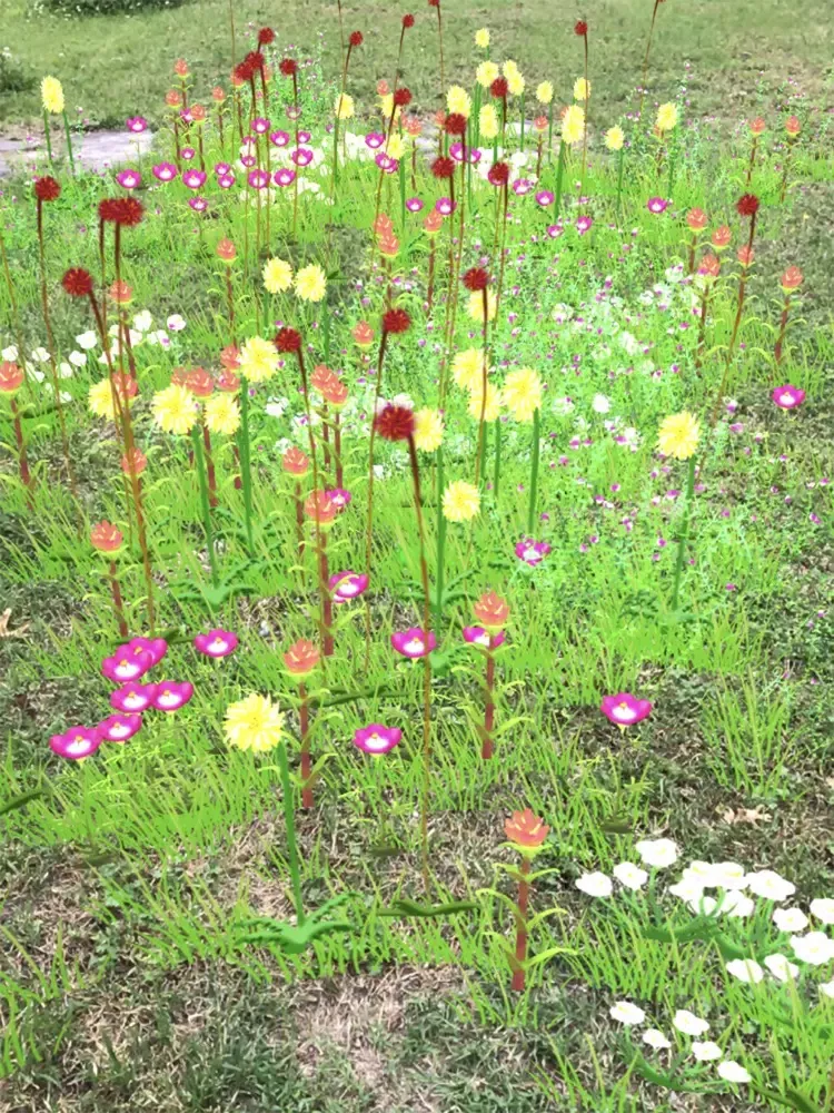 Grass Flower Weed: SpringBloom iPad  Screenshots