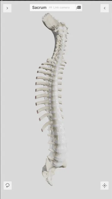 Biomechanics of the Spine Lite 스크린샷