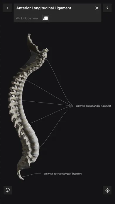 Biomechanics of the Spine Lite 스크린샷