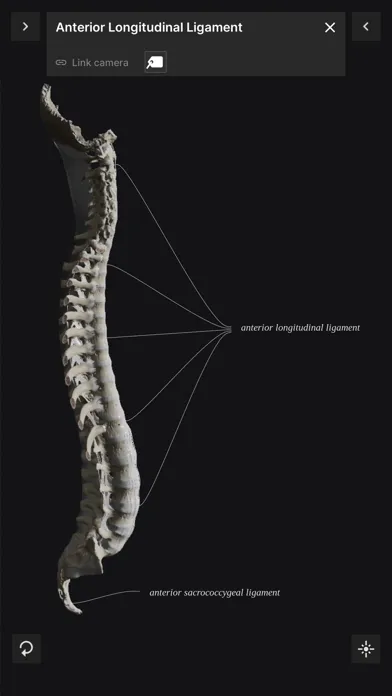 Biomechanics of the Spine Lite 스크린샷